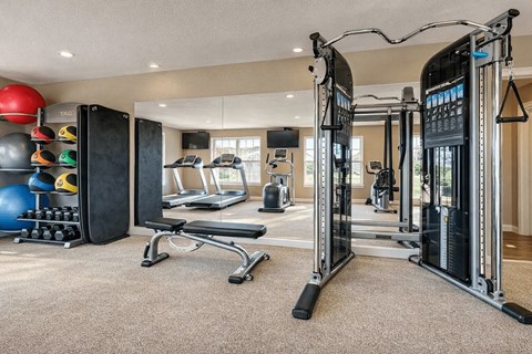 A well-equipped home gym with a variety of exercise machines and equipment.