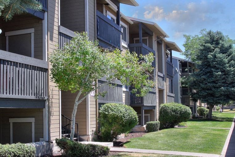 an apartment building with a tree in the grass