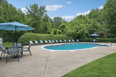 6940 Hidden Forest Dr 1 Apartment for Rent