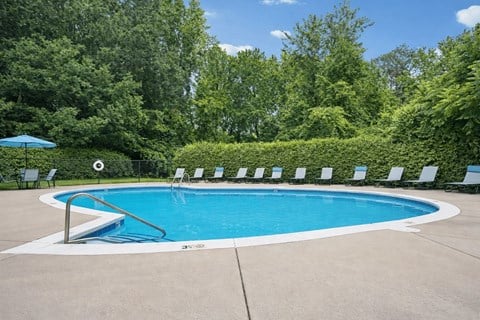 6940 Hidden Forest Dr 1 Apartment for Rent