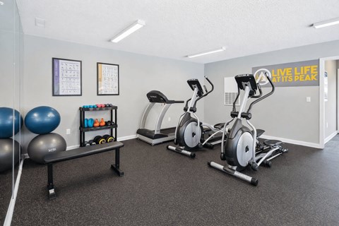 Fitness center with cardio equipment and weights at Davidson Homes Apartments, Concord, NC