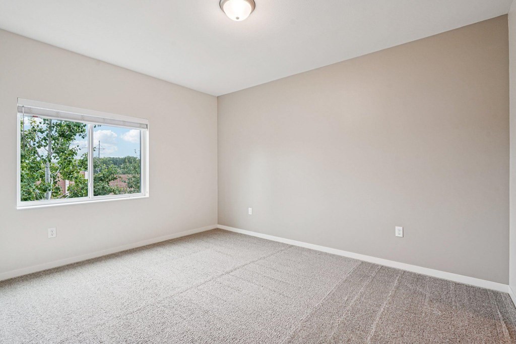 Plush Carpeting at Aster Meadow, Vadnais Heights, MN