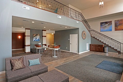 A living room with a grey couch and a blue rug.