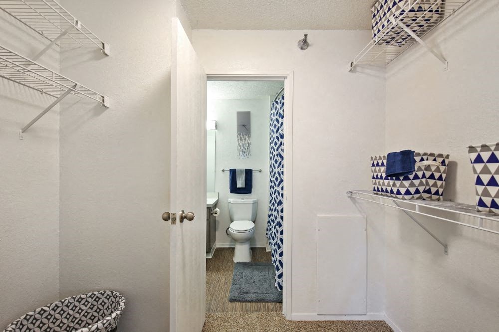 a bathroom with a toilet and a closet