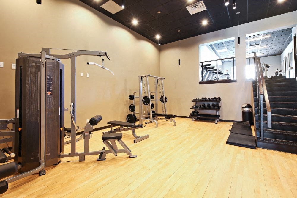 the gym is equipped with a variety of weights and cardio equipment