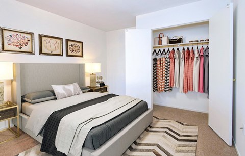 a bedroom with a bed and a closet