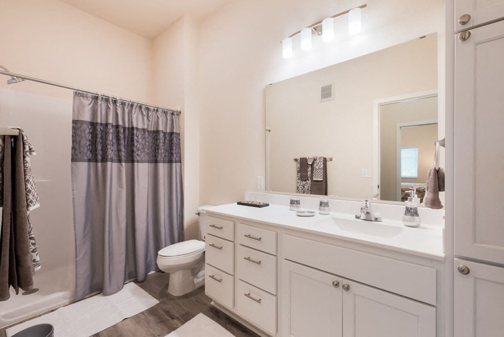 Bathroom With Vanity Lights at Lake Ridge, Prior Lake, MN, 55379