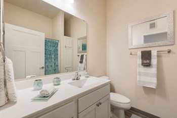 Luxurious Bathroom at Lake Ridge, Minnesota, 55379 - Photo Gallery 7