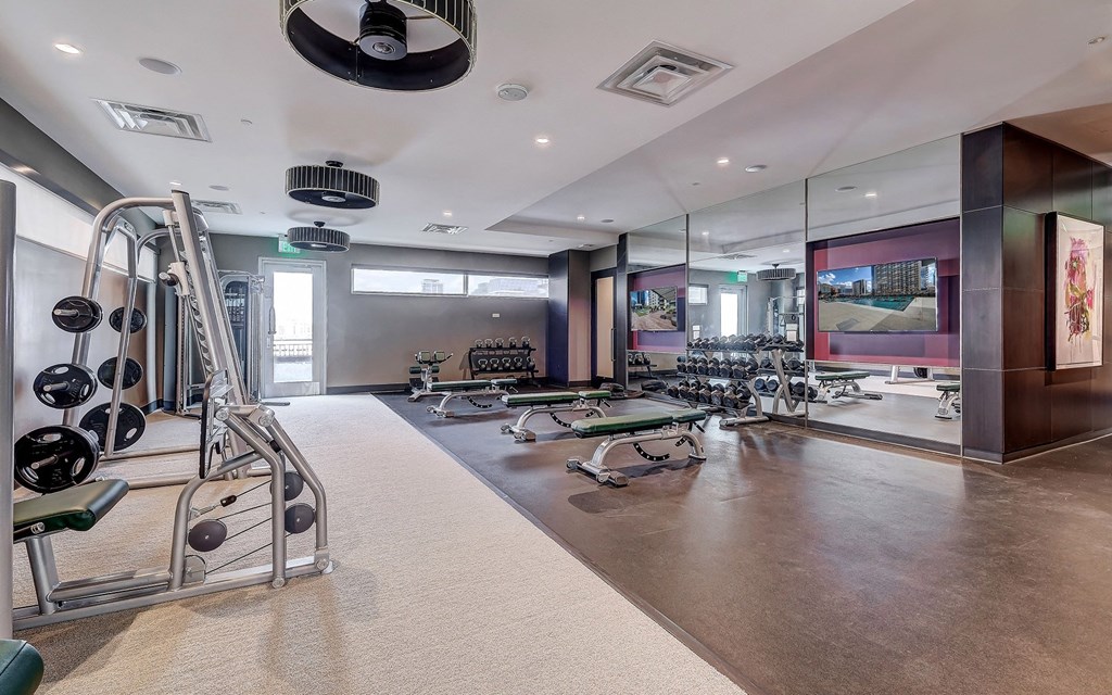 24-Hour Fitness Center with Weight Machine, Free Weights, and Fitness Benches
