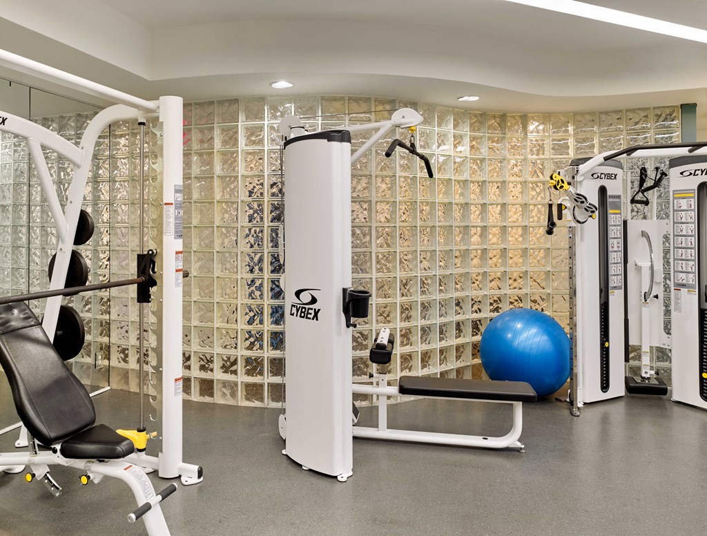 South Beach Marina Apartments