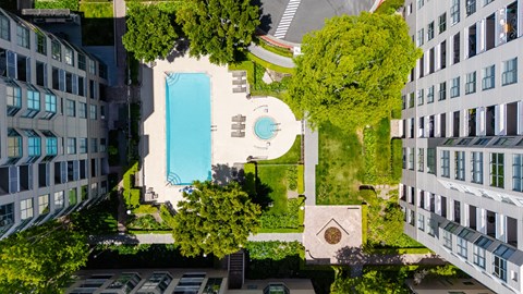 A swimming pool is surrounded by trees and grass in a courtyard.