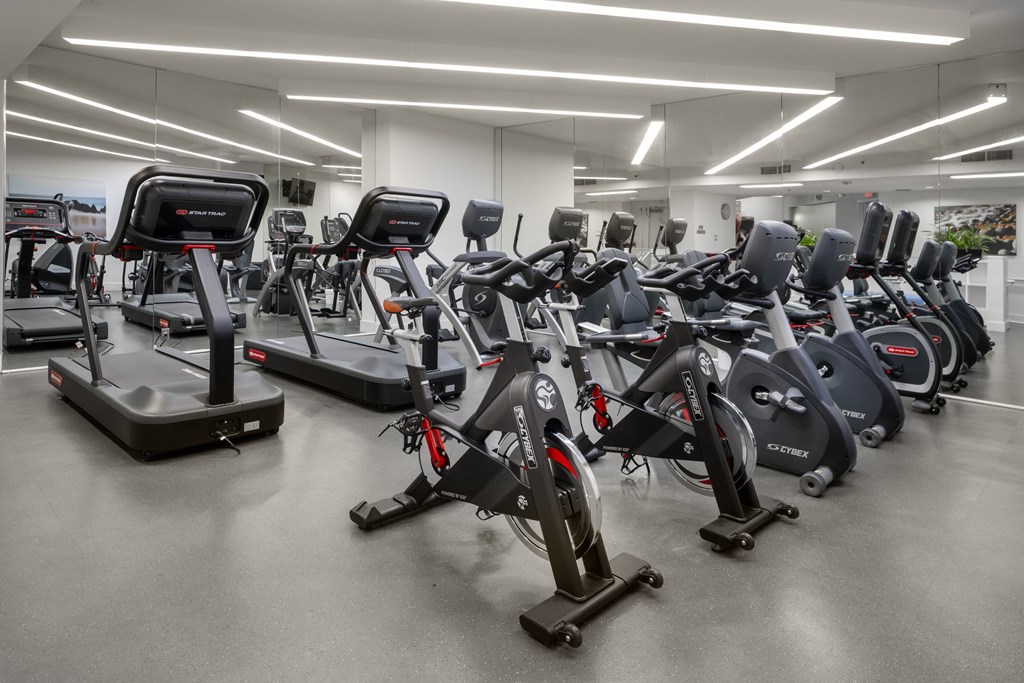 South Beach Marina Apartments