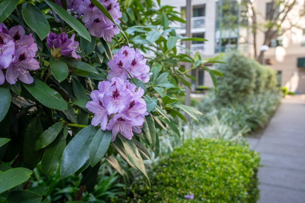 South Beach Marina Apartments