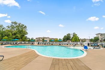 a swimming pool with chairs and umbrellas at the resort on a sunny day at Sycamore at Tyvola, Charlotte, 28217