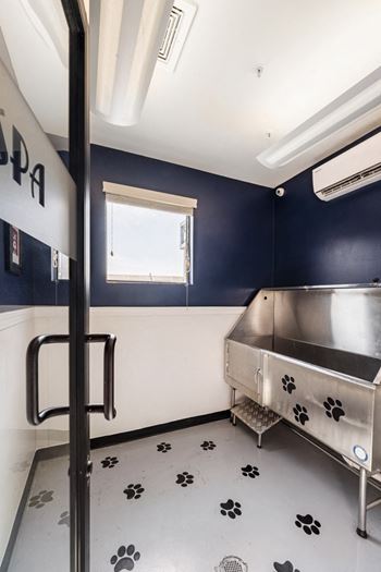 a kitchen with a stainless steel sink and a window