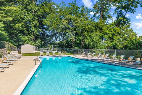 A large outdoor swimming pool surrounded by trees and lounge chairs.