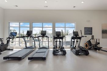 the gym with treadmills and ellipticals at the preserve at great pond apartments at Bristol at New Riverside, South Carolina
