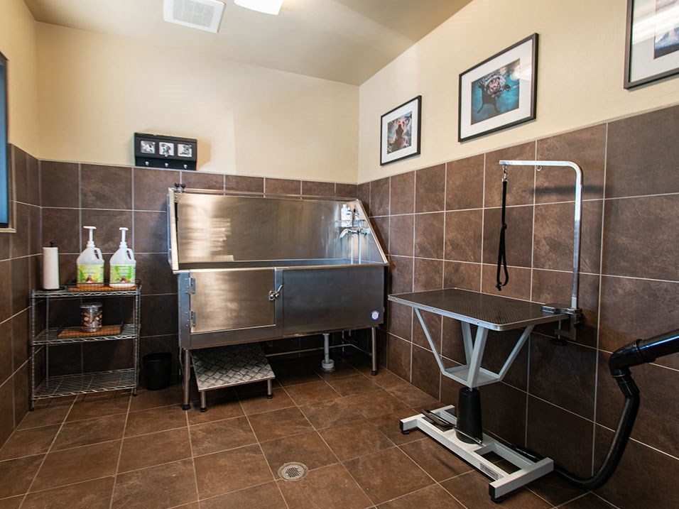 The Apartments At St. Mary's