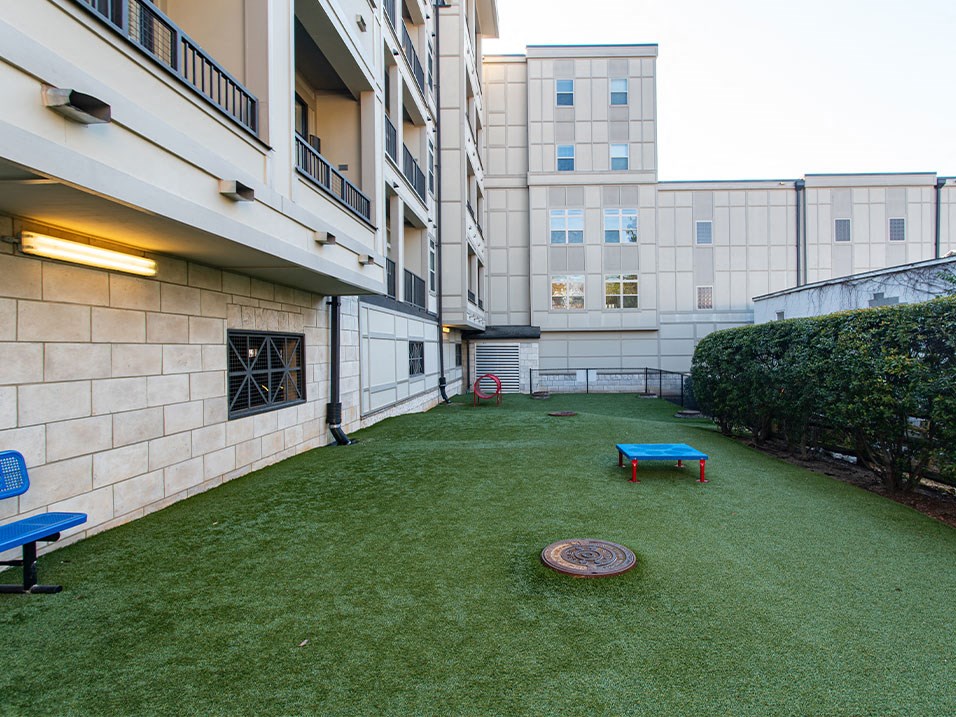 The Apartments At St. Mary's