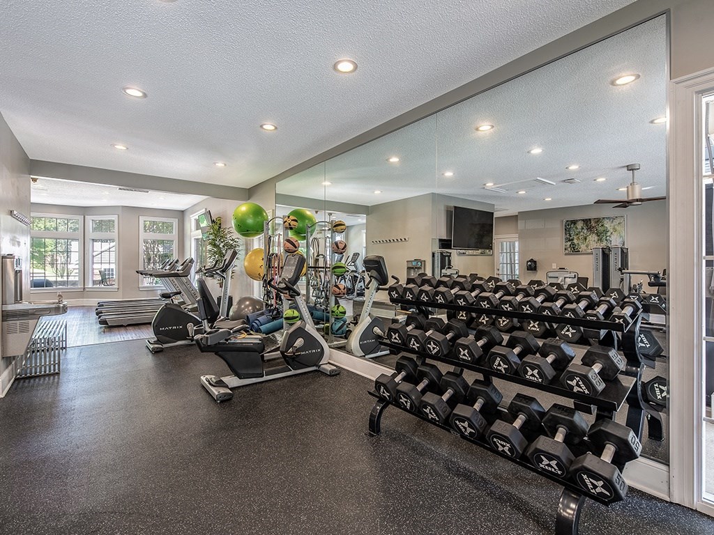 Fitness Center Access at The Village Apartments, North Carolina, 27615