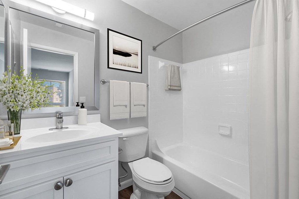 a white bathroom with a shower and a sink at Westwinds Apartments, Annapolis, MD