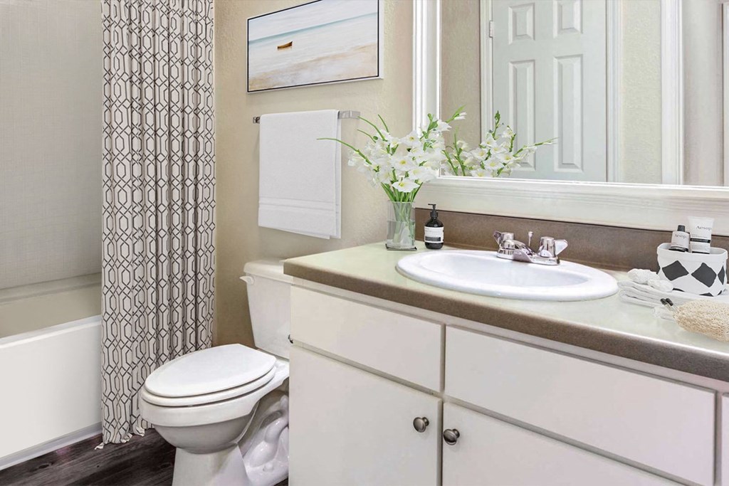 Bathroom with framed mirror at Carolina Point Apartments, Greenville