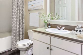 Bathroom with framed mirror Bathroom with framed mirror at Carolina Point Apartments, Greenville - Photo Gallery