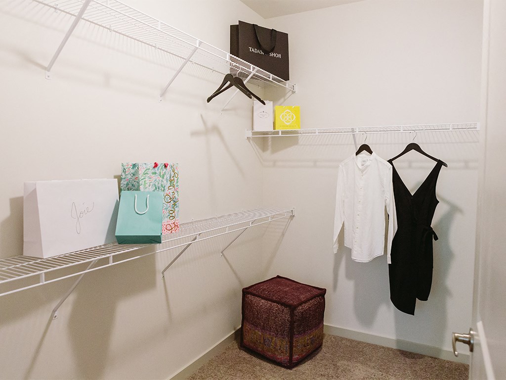 Expansive closet at Sycamore at Tyvola, Charlotte, NC, 28217