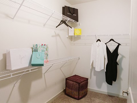 Expansive closet at Sycamore at Tyvola, Charlotte, NC, 28217