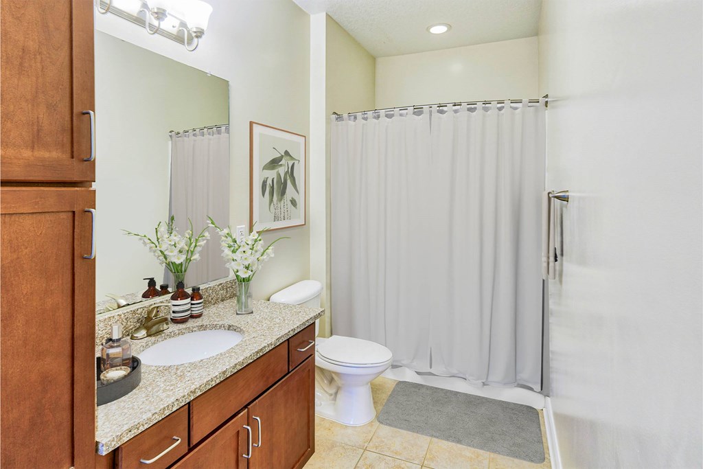 A bathroom with a toilet, sink, and shower at The Lofts at Reynolds Village Apartments, Asheville, NC, 92627