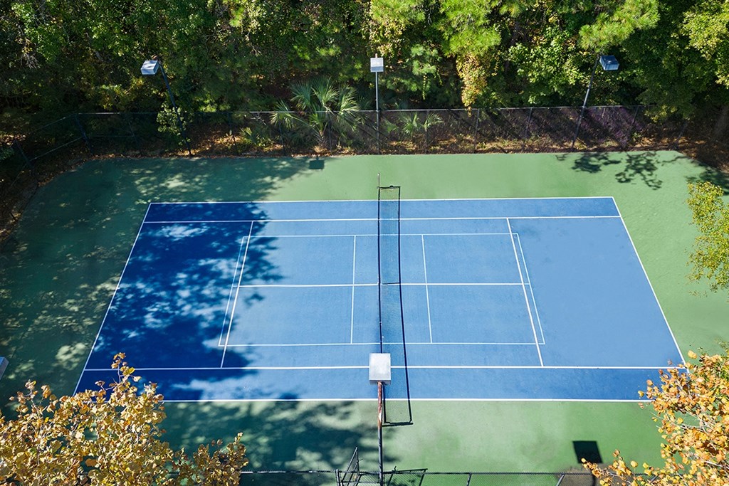 an aerial view of a tennis court on a green court at Sweetgrass Landing, Mount Pleasant, South Carolina