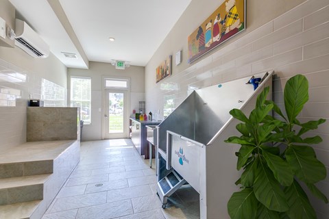 Dog spa at The Flats at Ballantyne Apartments, Charlotte, NC