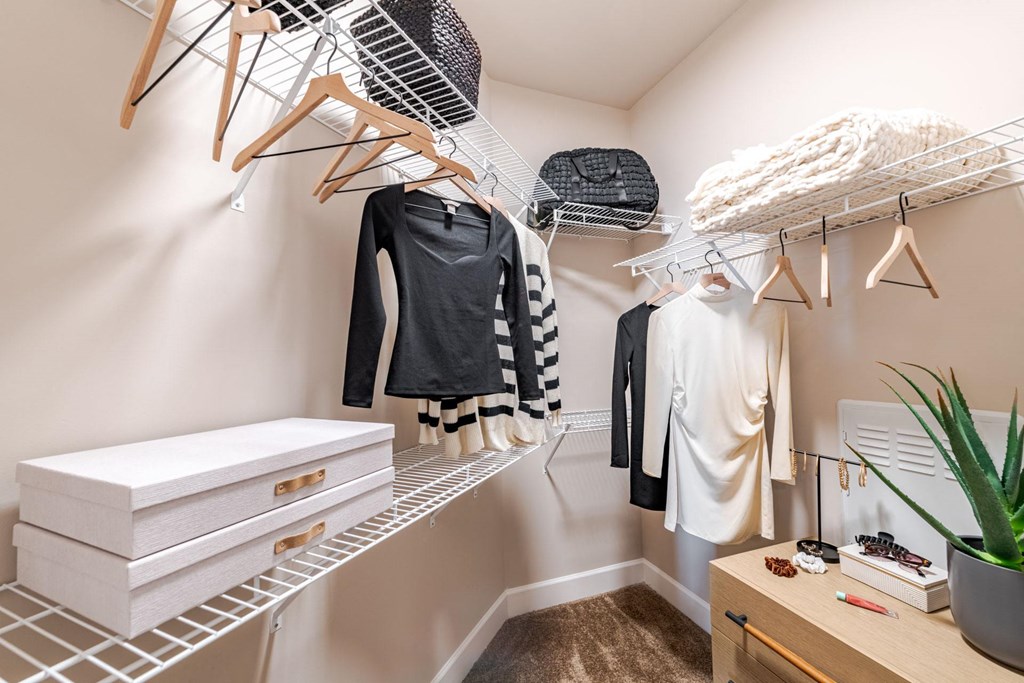 A white closet with clothes hanging and a plant on the desk at The Edison Lofts Apartments, Raleigh, NC