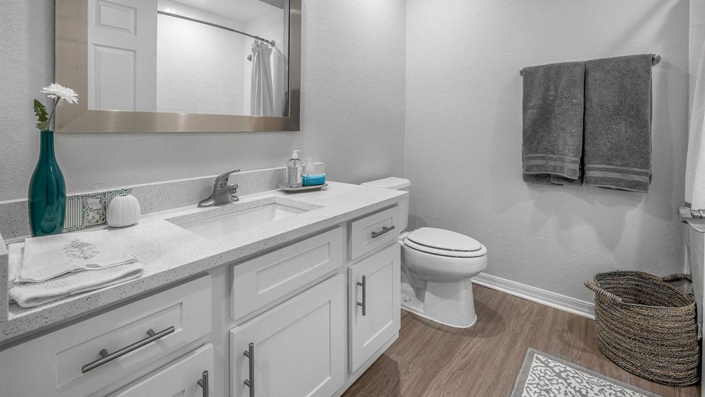 a bathroom at Henley Tampa Palms Apartments, Tampa, FL