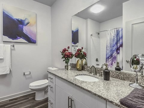 Bathroom with granite counters and large mirror at Sycamore at Tyvola, Charlotte, NC