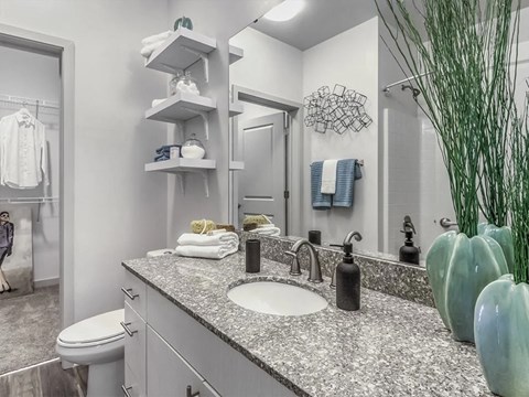Bathroom with granite counters and large mirror at Sycamore at Tyvola, Charlotte, NC, 28217