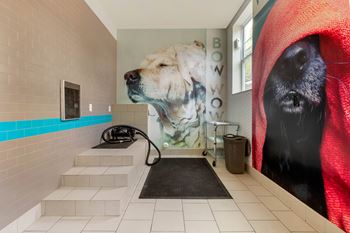 pet spa with steps and dryer at 1010 Dilworth Apartments, Charlotte North Carolina