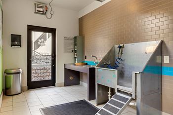 Pet spa with washing tub and exit door at 1010 Dilworth Apartments, Charlotte
