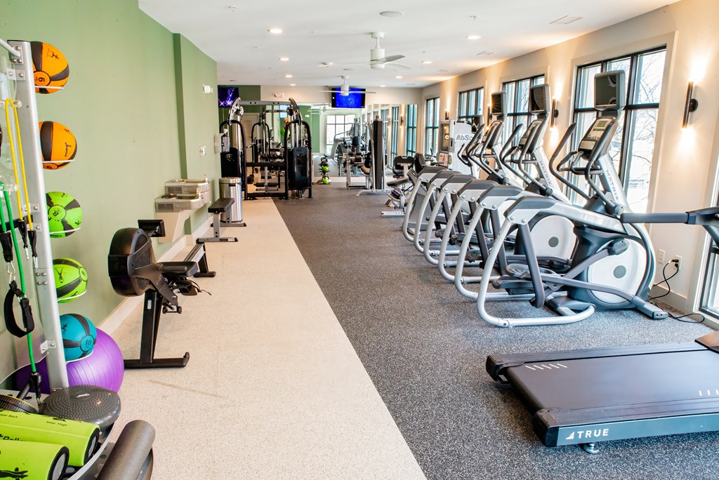 a row of cardio machines and weights in a gym at Park and Kingston, North Carolina