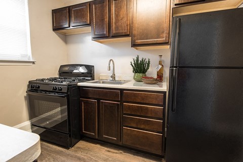 a kitchen with a stove refrigerator and a sink