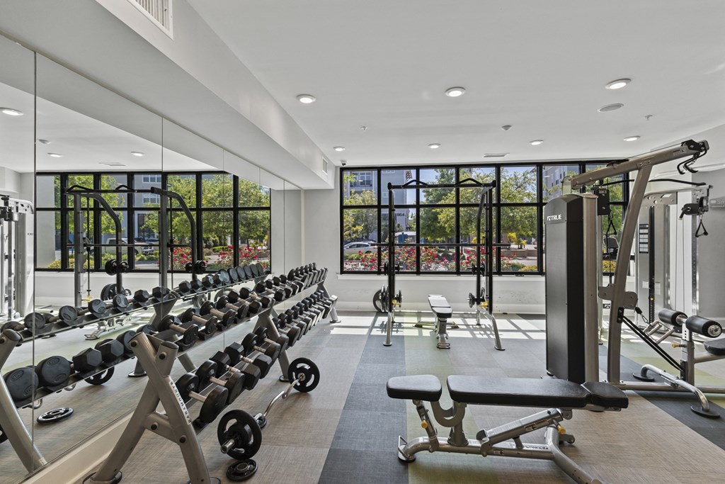 a gym with a row of weights machines and a large window at Central Island Square, Daniel Island, SC
