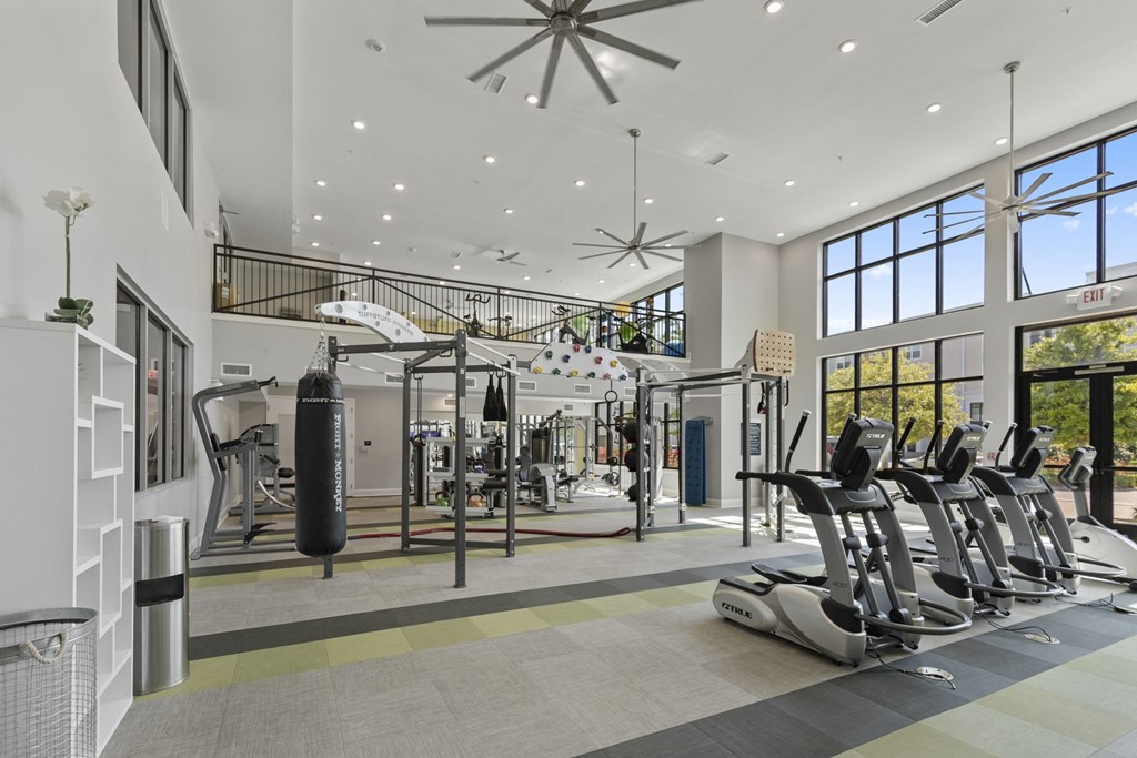 a gym with treadmills and weights in a building with large windows at Central Island Square, Daniel Island, South Carolina