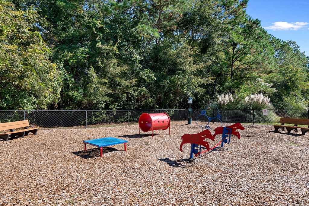 a dog park with a agility equipment a dog park with a agility equipment at Sweetgrass Landing, Mount Pleasant, 29466
