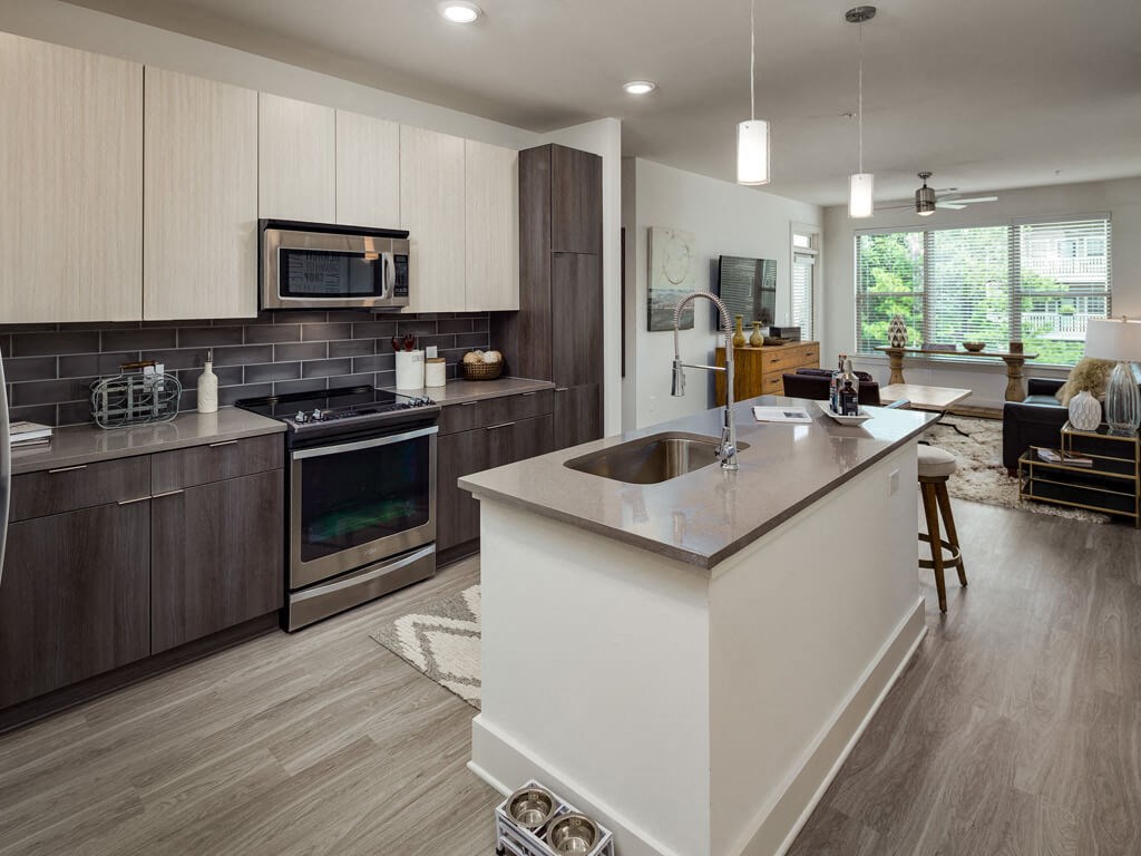 White and Gray Quartz Countertops  at Millworks Apartments, Georgia