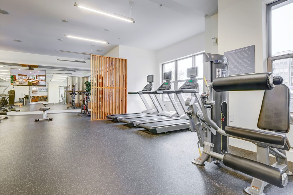A gym with a variety of equipment including treadmills and weights at The Linden Apartments, Davidson, NC, 28036