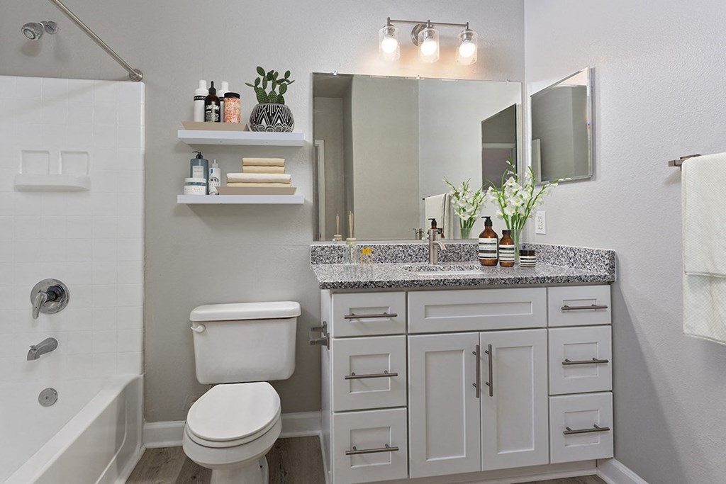 Bathroom with vanity and large mirror at The Reserve at Mayfaire Apartments, Wilmington NC