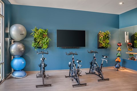 Spin Room showing 3 bikes and tv at The Flats at Ballantyne Apartments, North Carolina