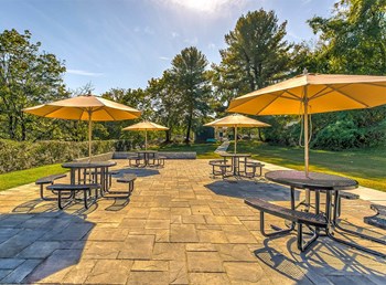Outdoor patio with dining table Outdoor patio with dining table at Falls Village Apartments, Baltimore, MD - Photo Gallery 2