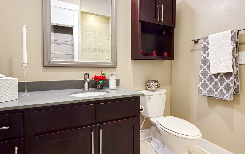 The Apartments At St. Mary's