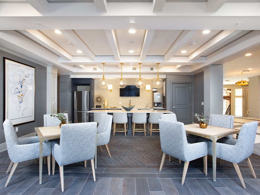 Web cafe with tables and chairs at St Mary's Square North Apartments, North Carolina